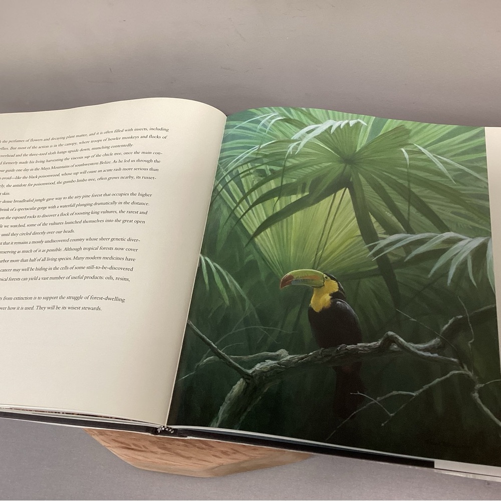 🟡 Vintage Robert Bateman - Natural World Large Coffee Table Book - Rick Archbold - Picture 10 of 16